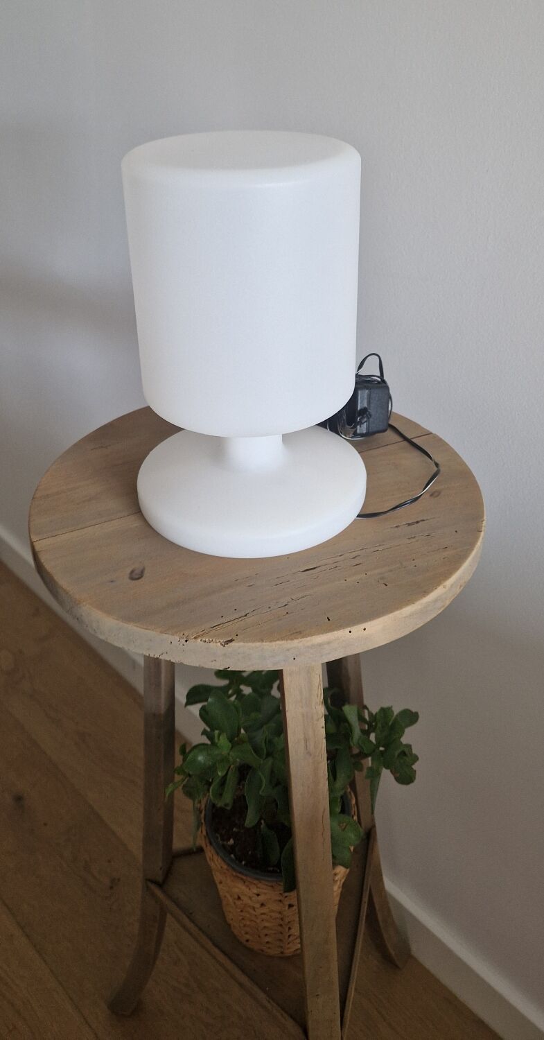 Old pedestal table driftwood