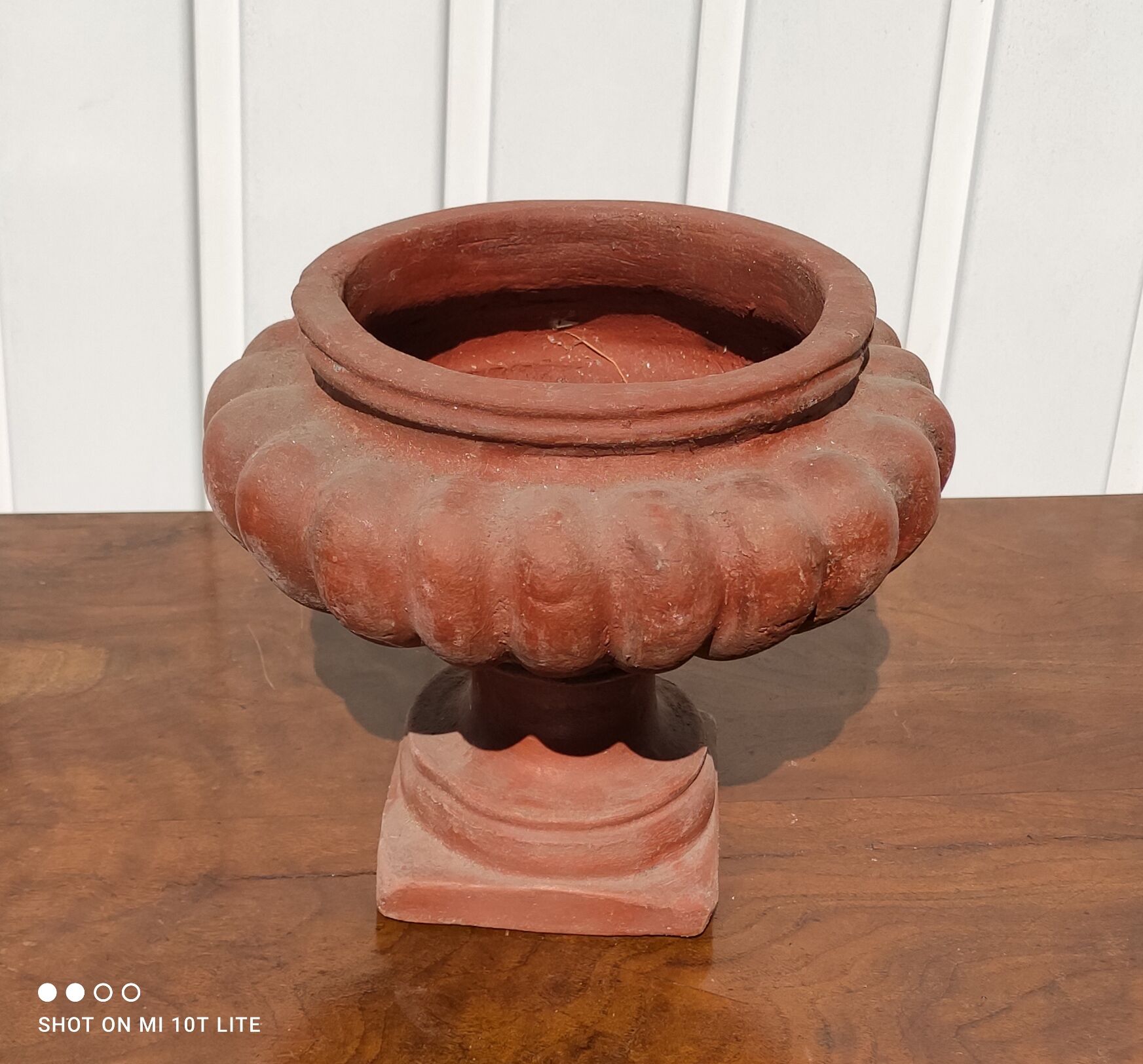 Médici pot in terracotta