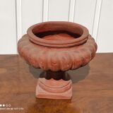 Médici pot in terracotta