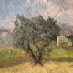 Oil painting of olive trees