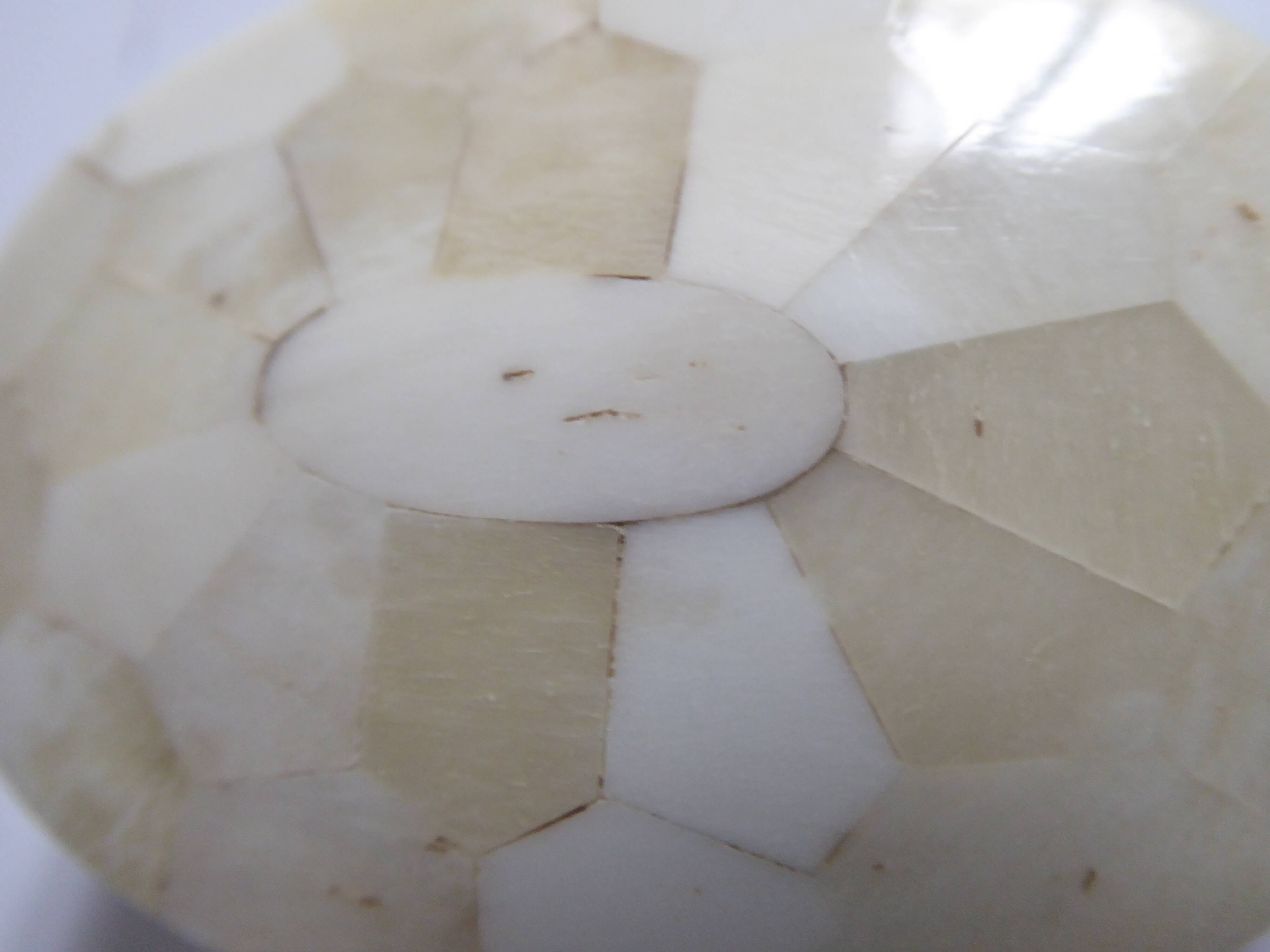 Oval box in white horn and wood