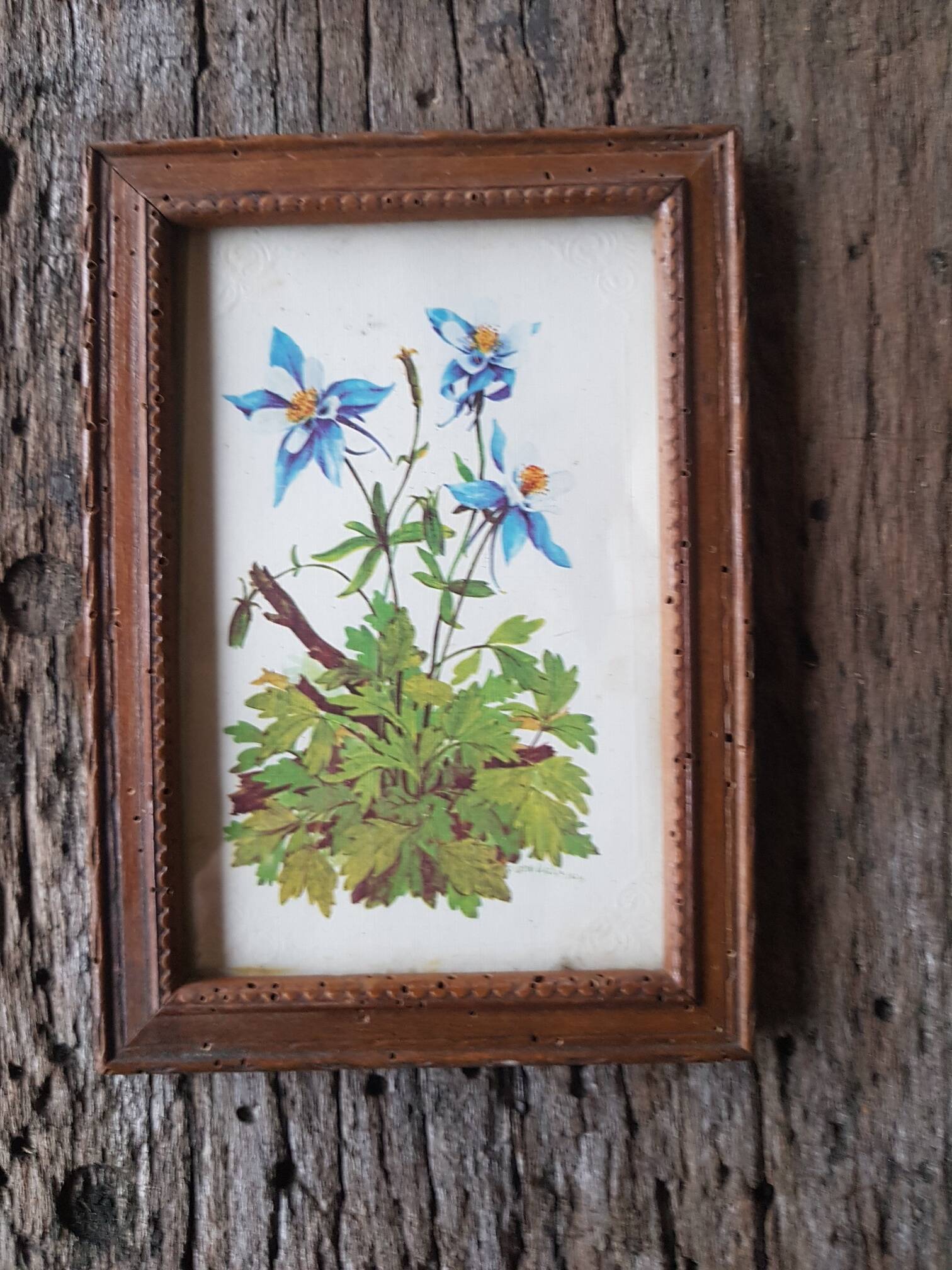 Botanical board frame