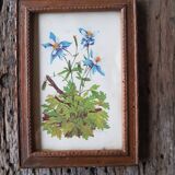 Botanical board frame