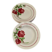 Set of 7 deep plates K&G Lunéville model Yvonne
