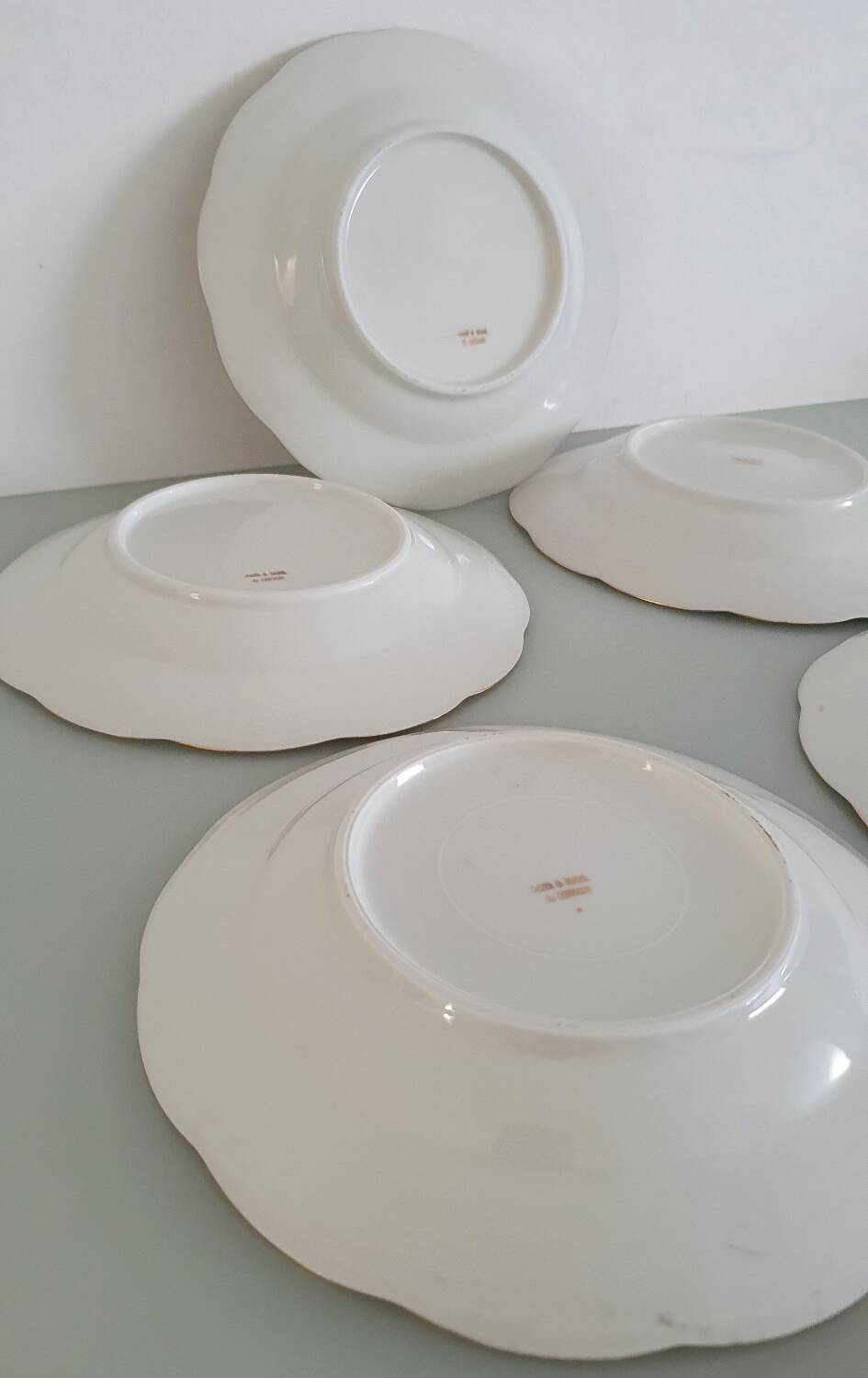 Set of 5 Limoges enameled porcelain plates