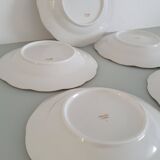 Set of 5 Limoges enameled porcelain plates