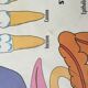 Educational poster digestion and the eye and vision