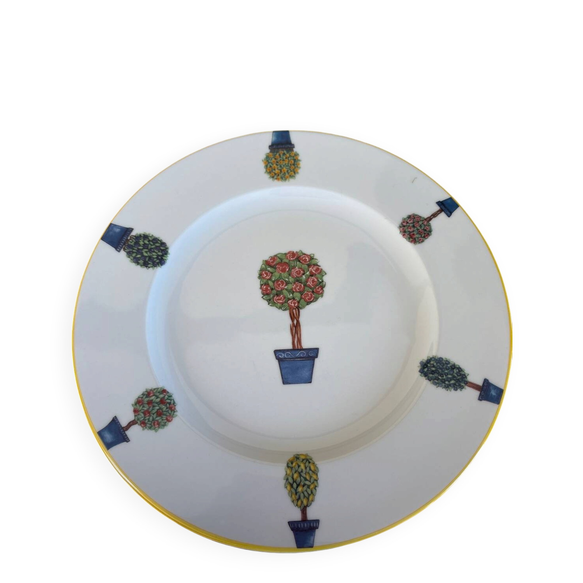27 cm porcelain dinner plates