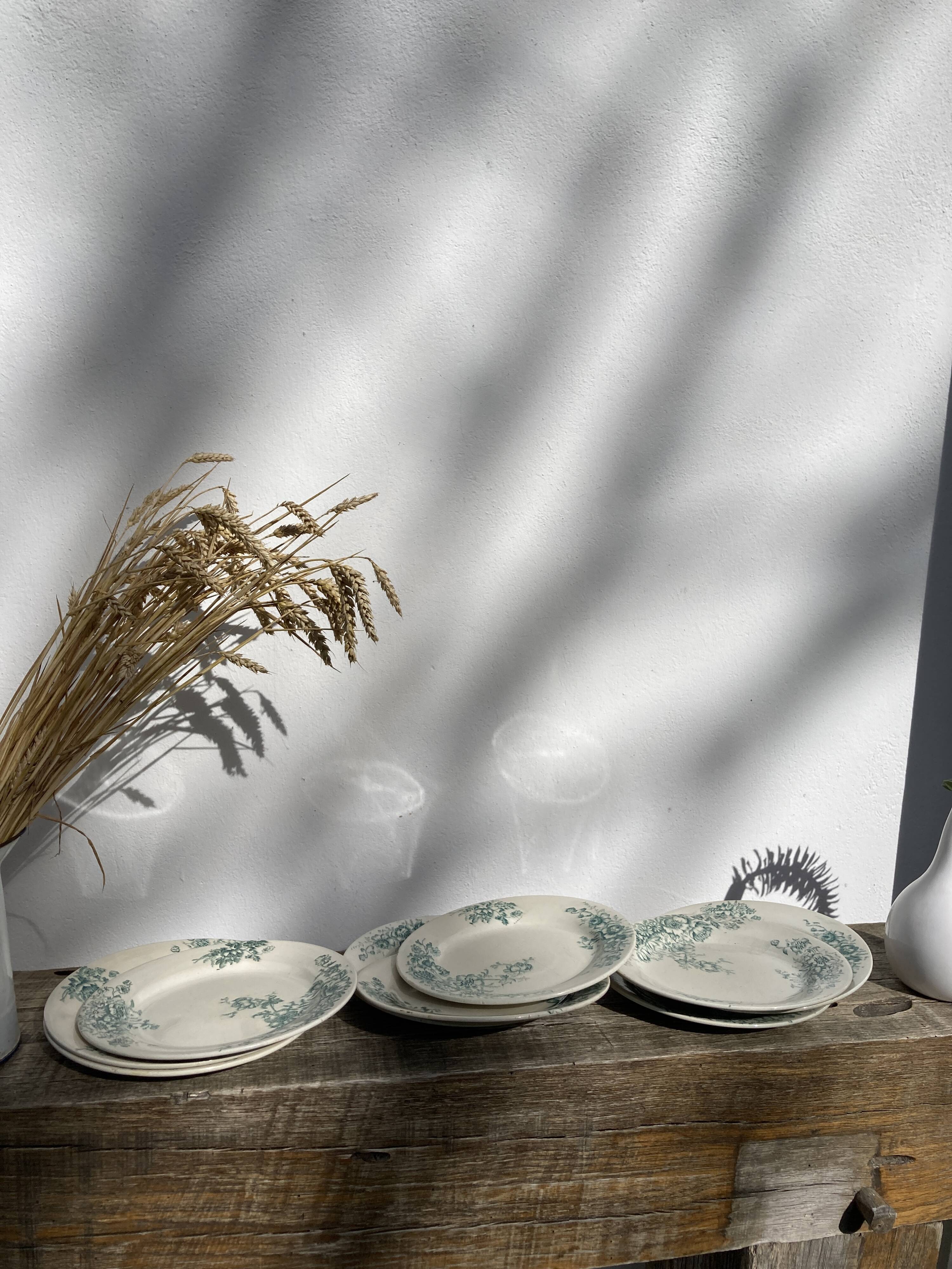 8 Terre de fer plates Anémones Bertrand Bordeaux old in green ceramic decorated with flowers