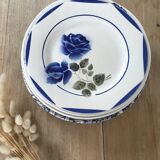 Blue & white mismatched flat plates