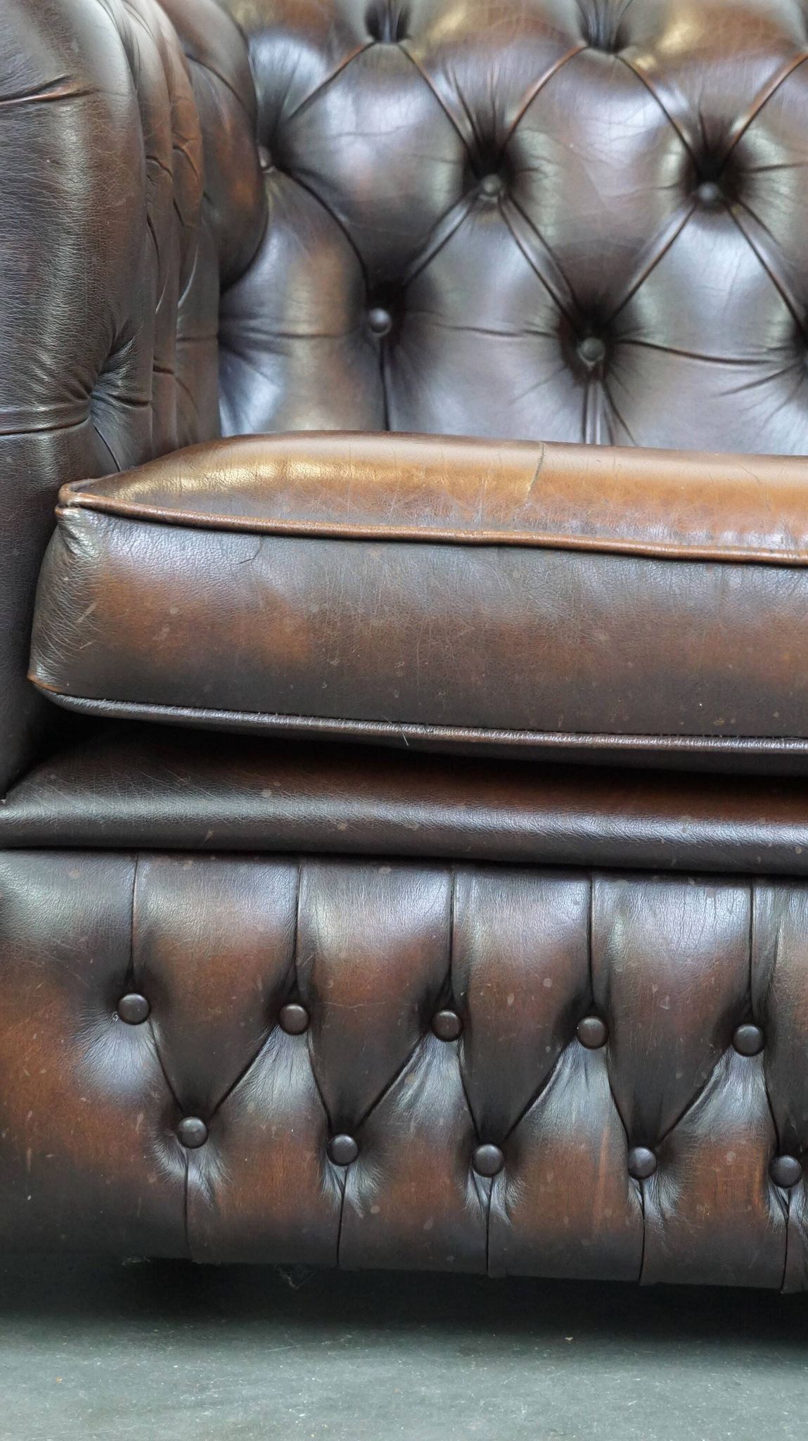 English Chesterfield 2.5 seater sofa in dark brown flamed cowhide leather