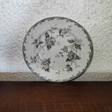 Old plate new galleries s.f.r saint amand and Hamage model Rosette