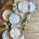 Lot de 10 assiettes plates anciennes en terre de fer dépareillées