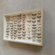 Butterfly frame stuffed under glass