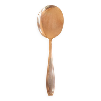 Dessert shovel