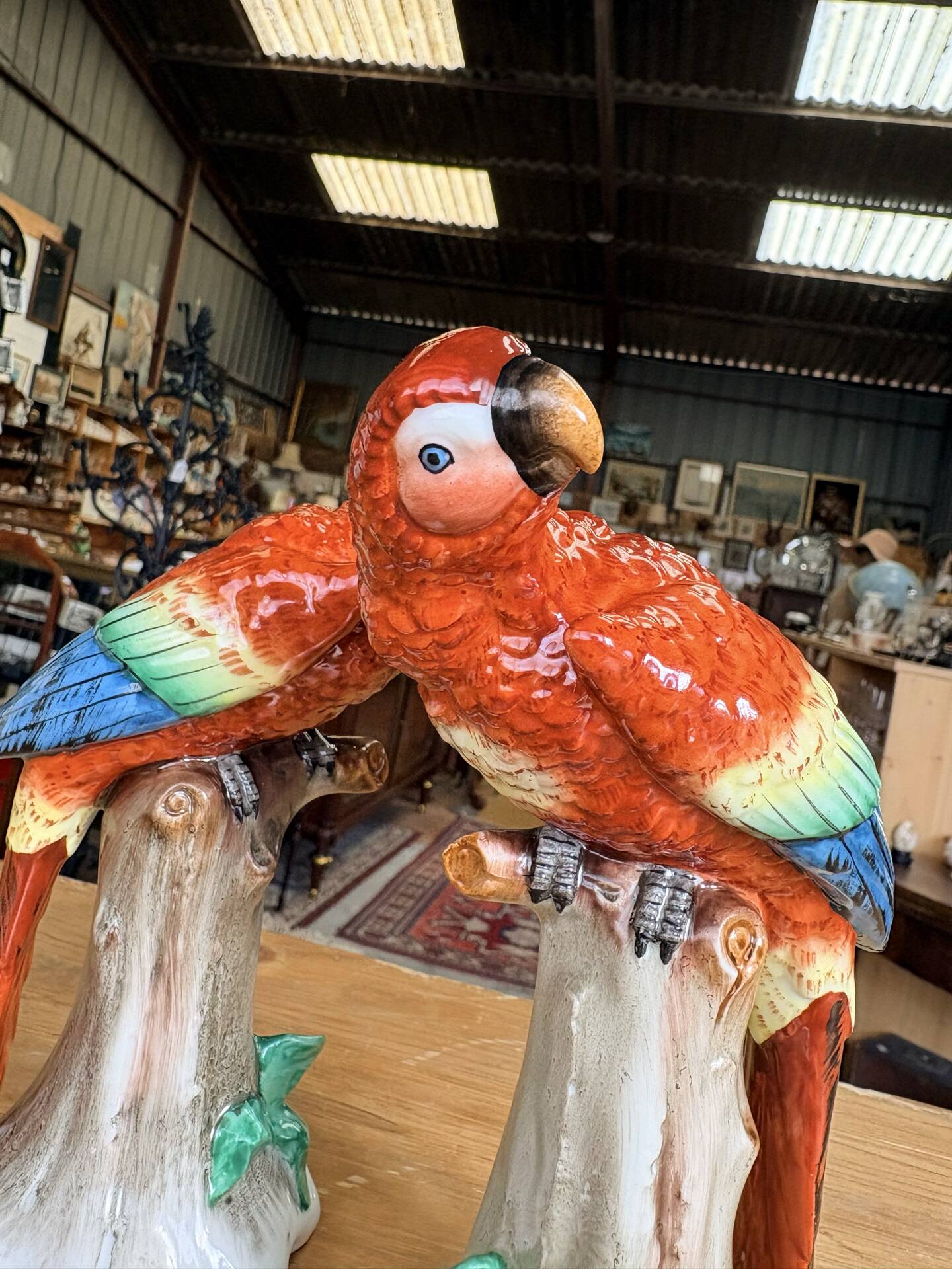 Pair of porcelain parrots Sitzendorf – Germany