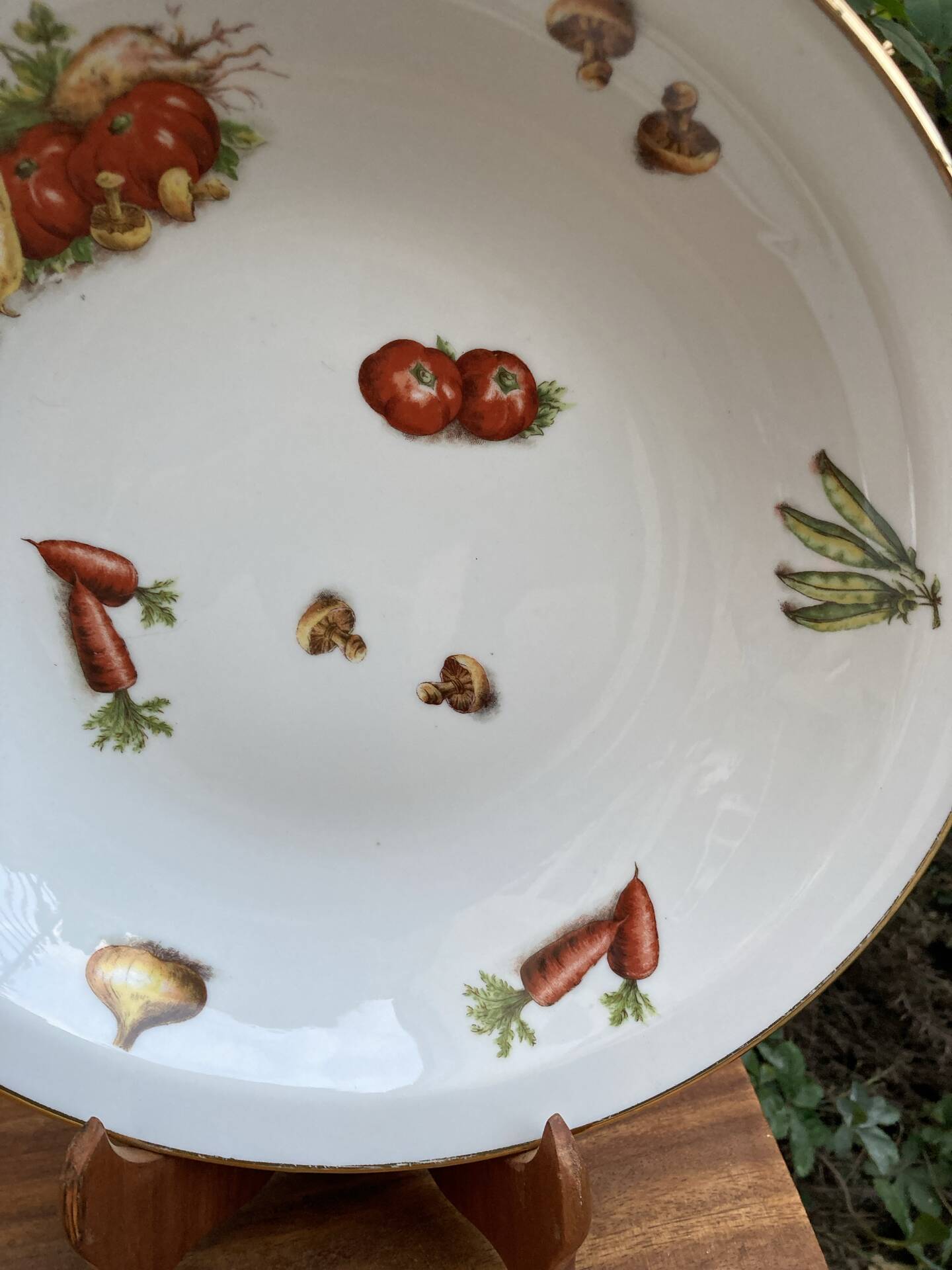 Plat maraîcher gravures botaniques d’antan