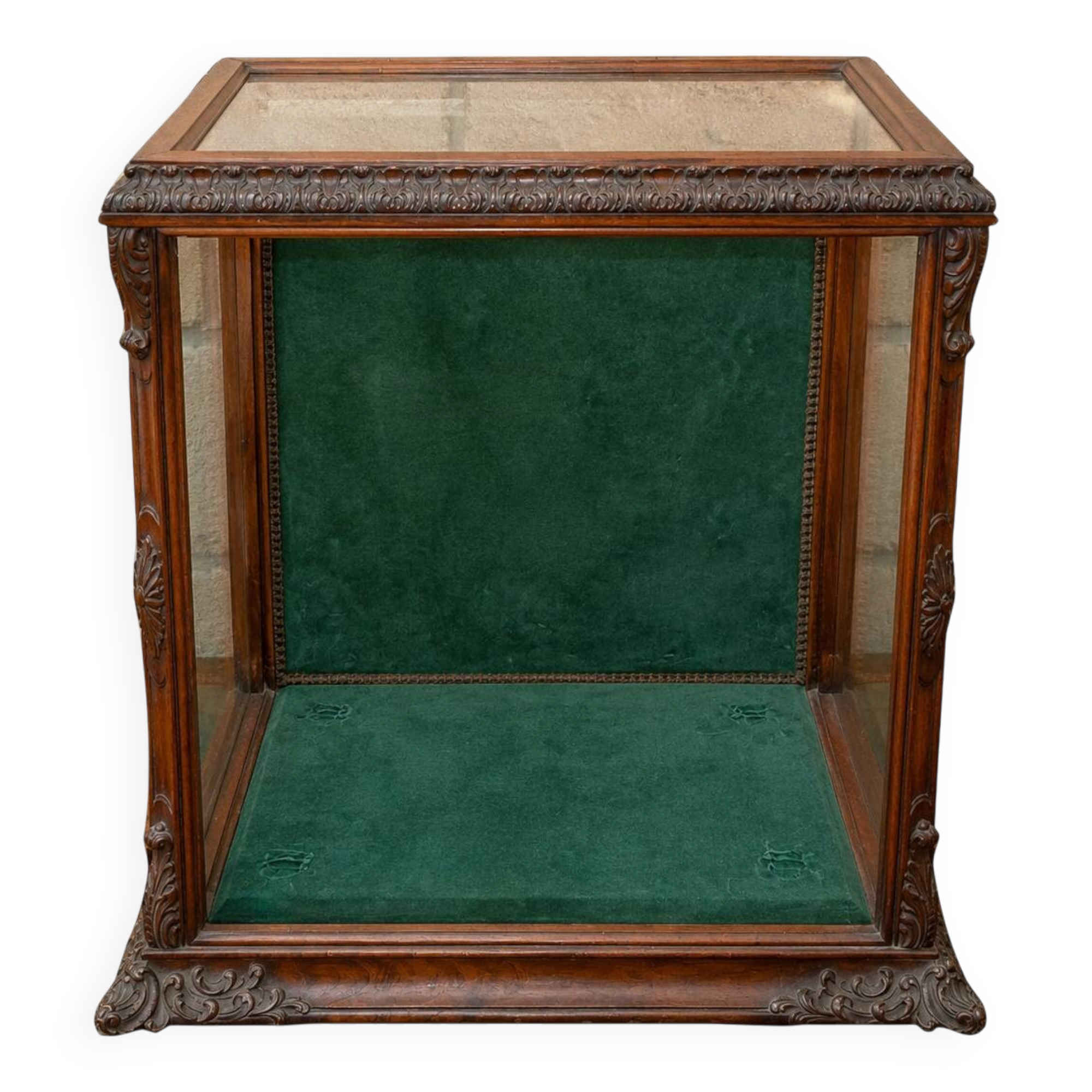Rare counter display case / exhibition case in walnut display case.