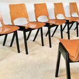 Set of 6 Dining Chairs P7 by Roland Rainer for E & A Pollack, Vienna 1952