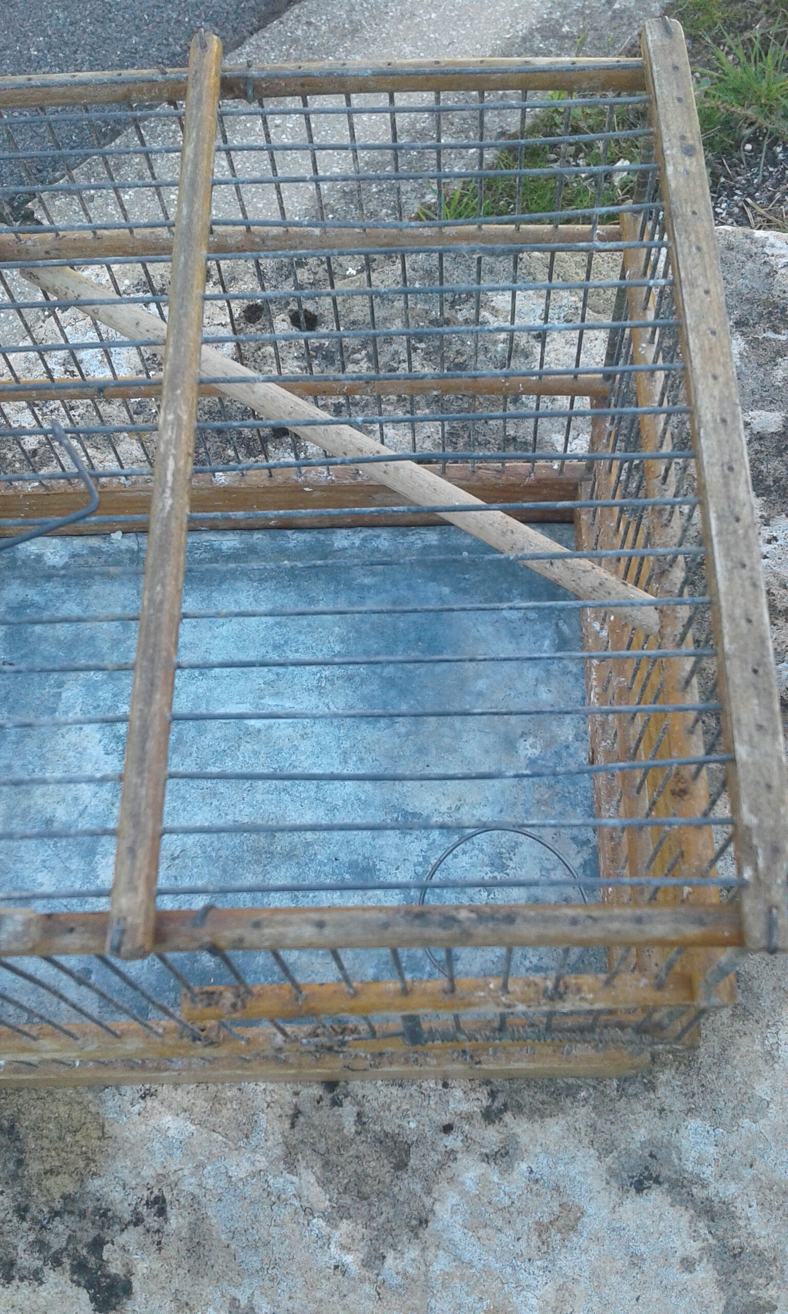 Old canary cage