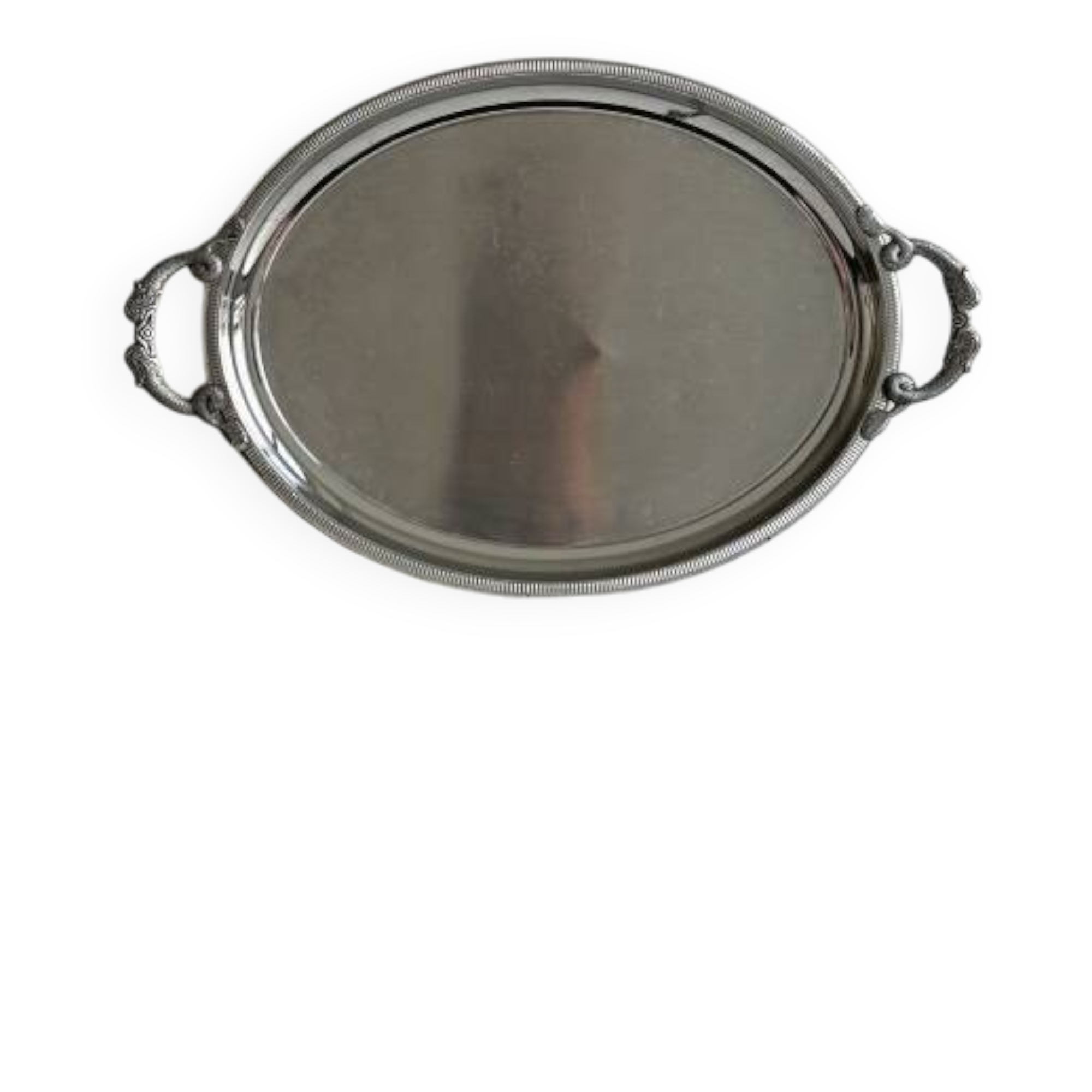 Large stainless steel serving platter with fish-shaped handles.