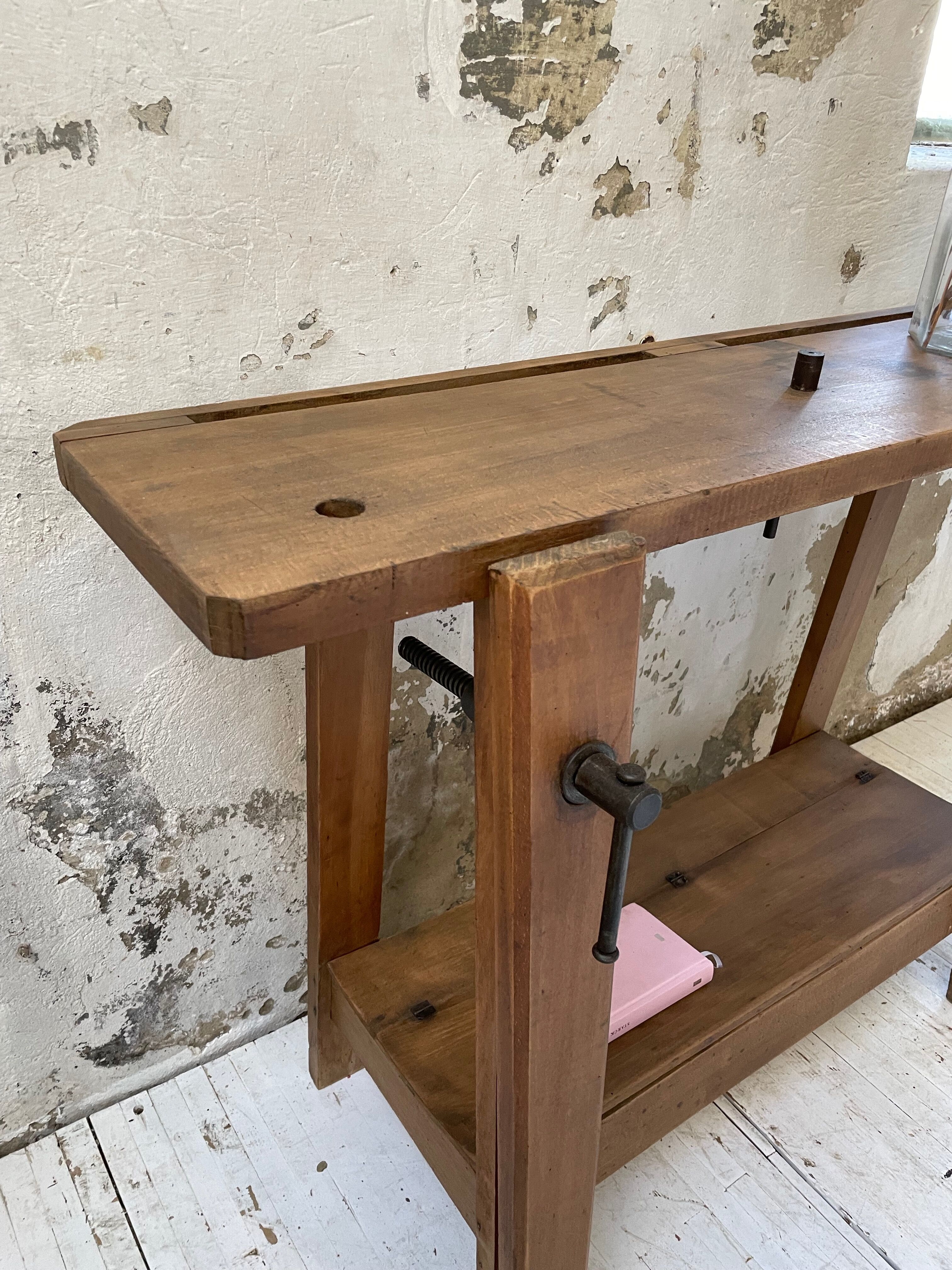 Established XS in cherry tree