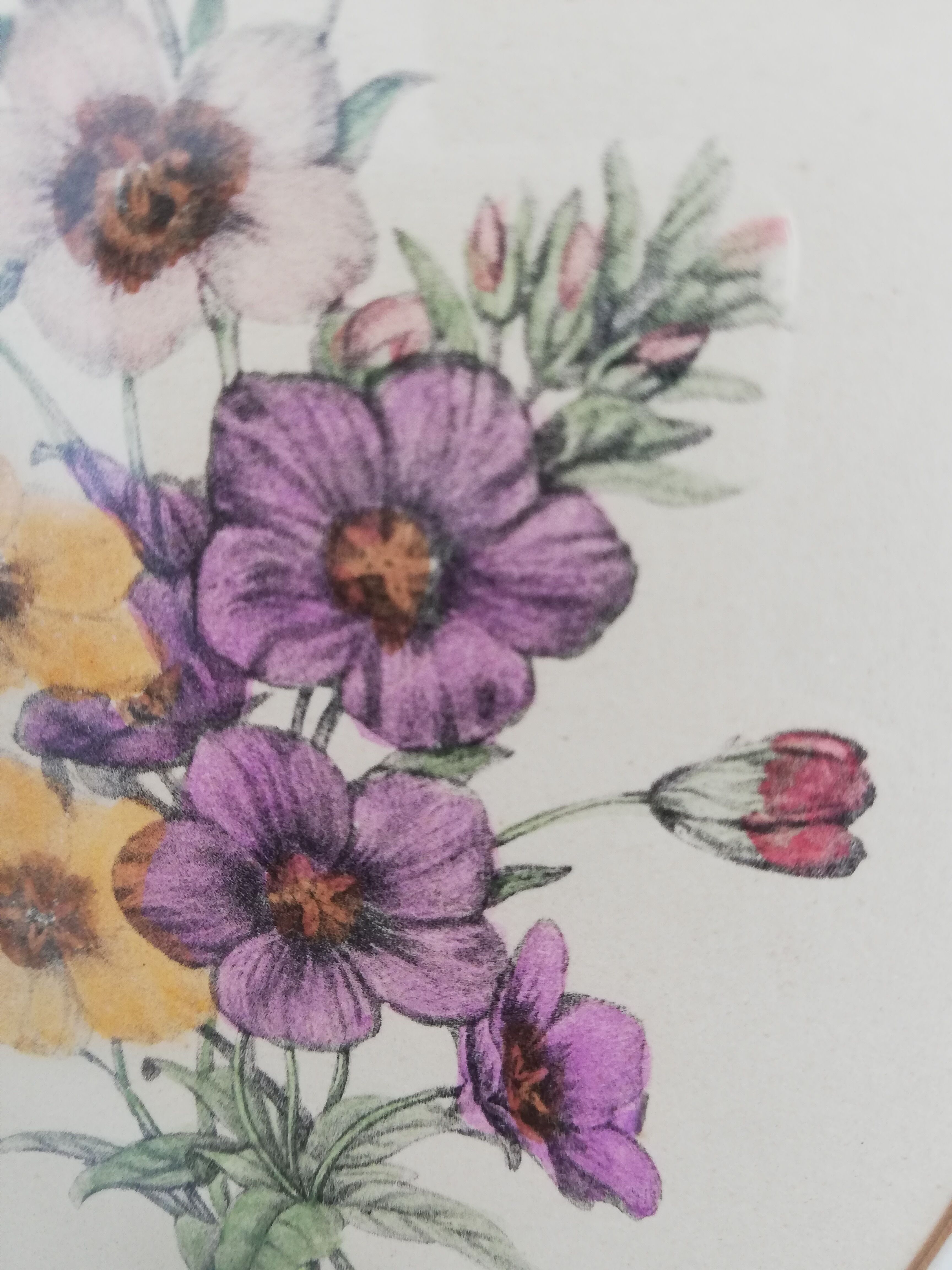 Old watercolor frame 1950