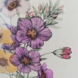Old watercolor frame 1950