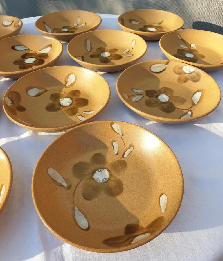 Set 12 hollow plates D20.5 Nadège 1970 Sarreguemines