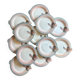 Set of 12 vintage pink and gray fish-shaped plates - Digoin