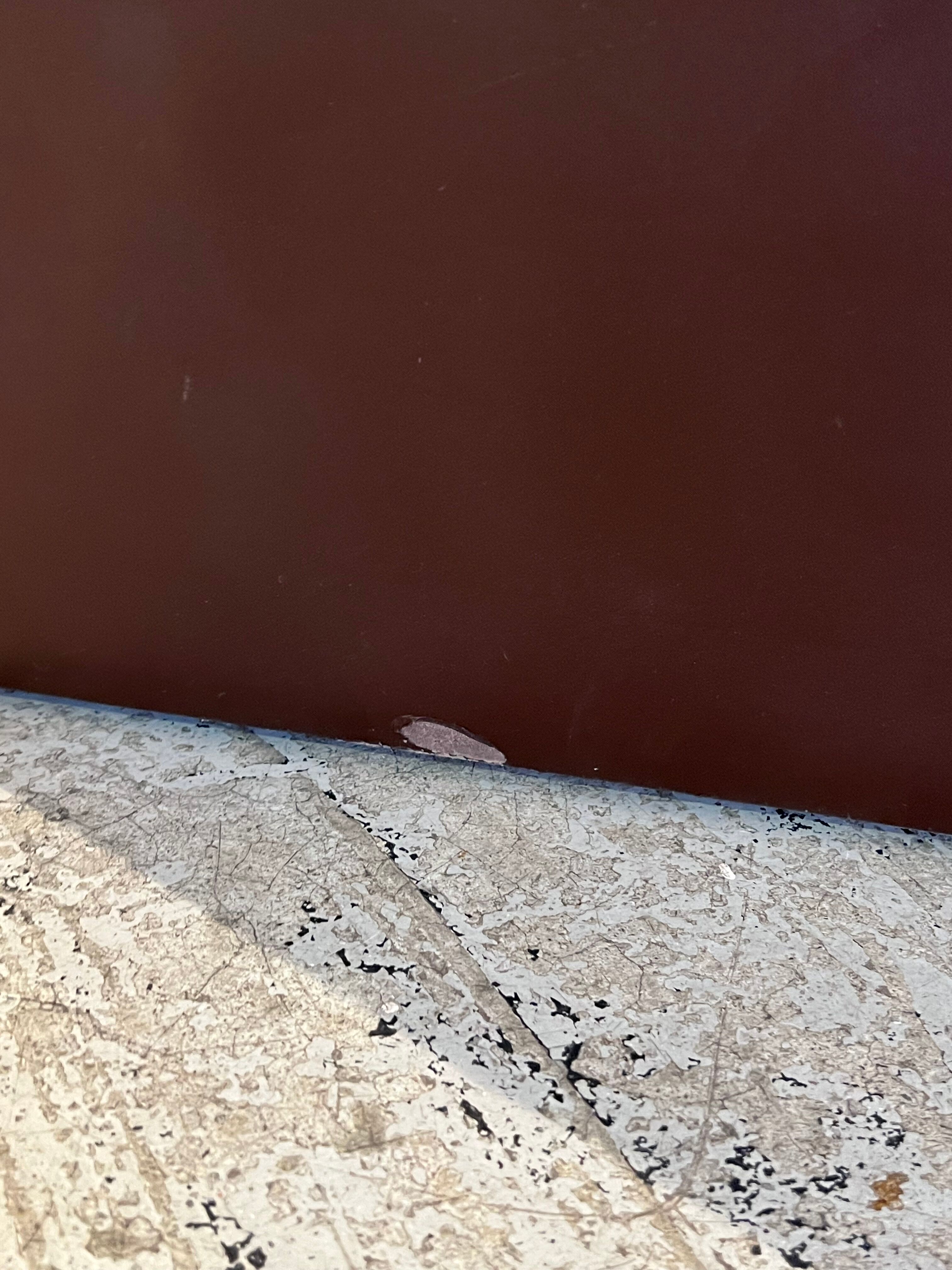 Terrazza sofa by Ubald Klug for De Sede Switzerland 1973