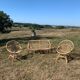 Sofa and its two vintage rattan armchairs
