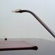 Cobra leather desk lamp by Traso Milano 1988