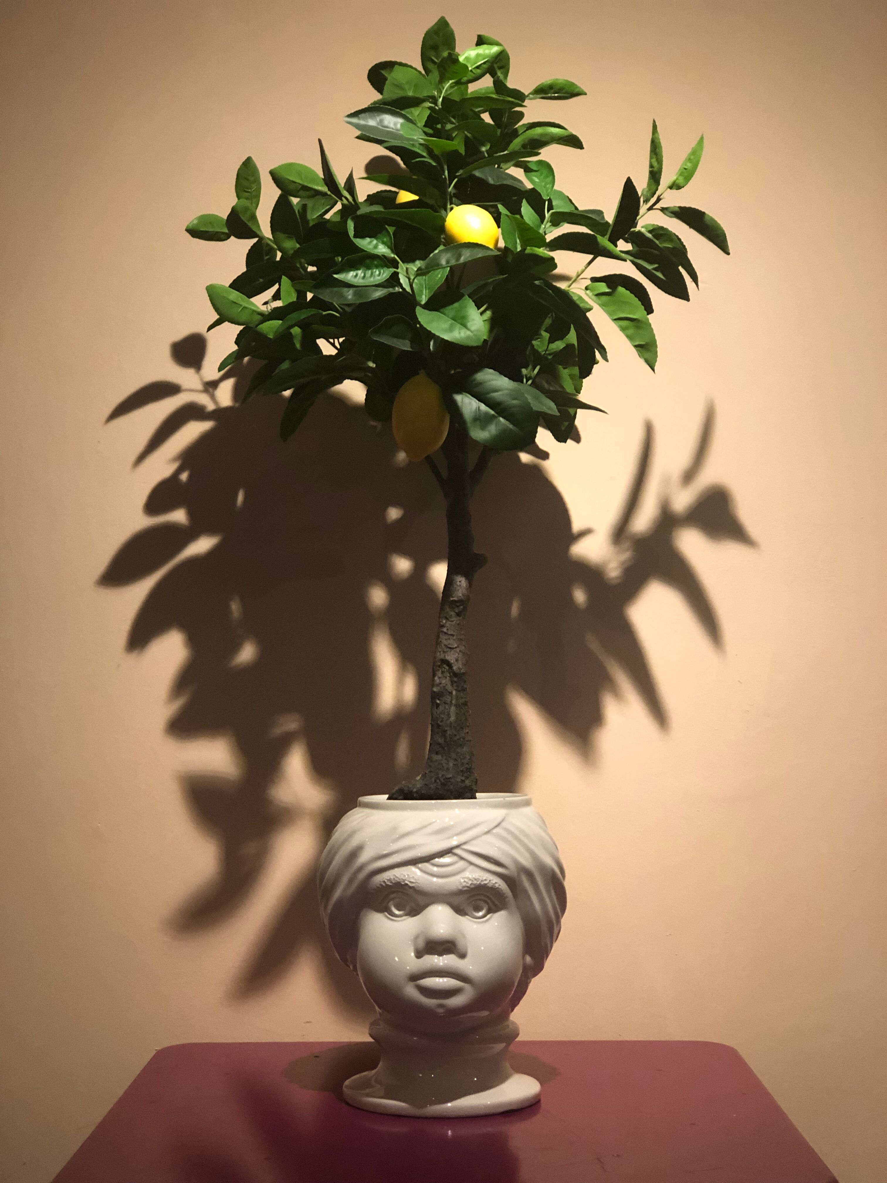 Jardinière d’italie