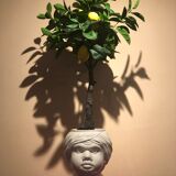 Jardinière d’italie