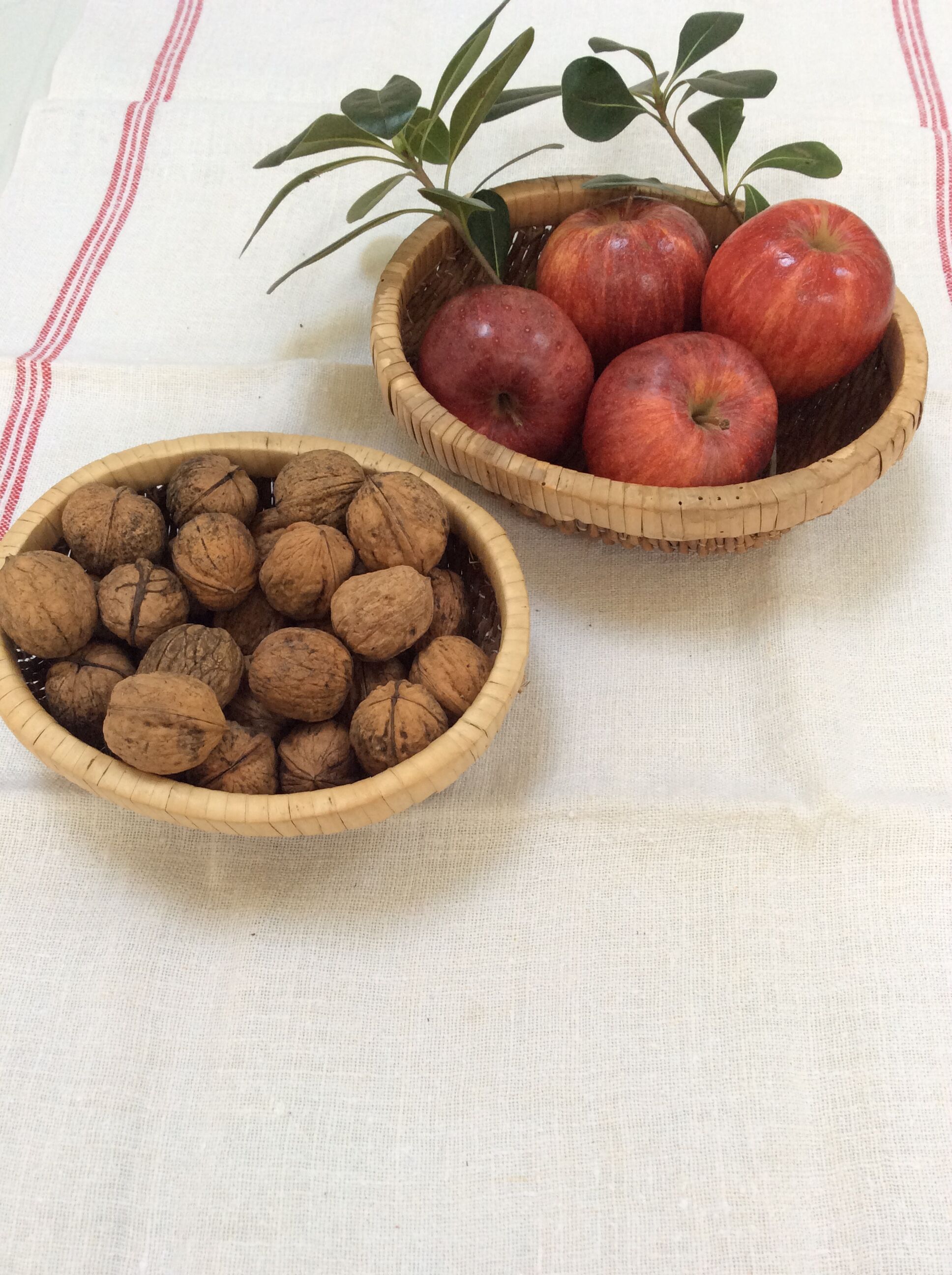 Duo of small pull-out baskets