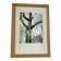 The tree in the city, watercolour on paper, signed Ventil.