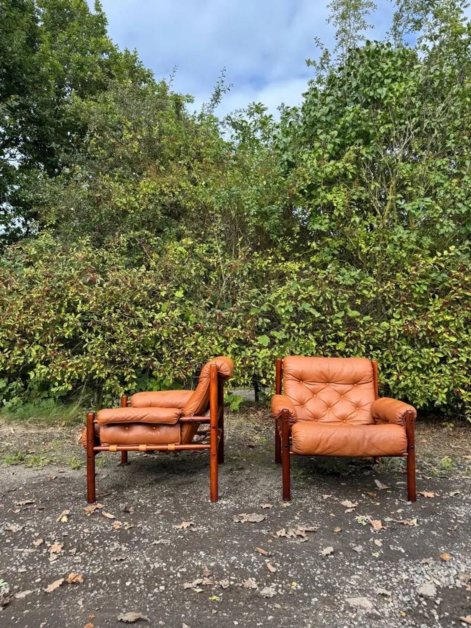 Pair of lounge chairs "Dickie" by Arne Norell – Sweden, 1970s