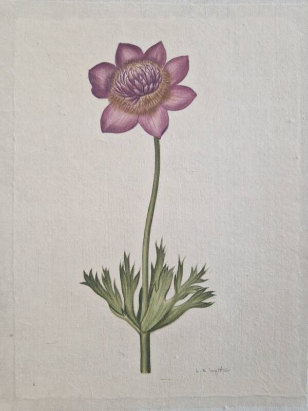 La Roche Laffitte (Born in 1943) - Watercolour drawing on silk - Anemone