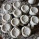 12 bistro coffee cups and 2 pots