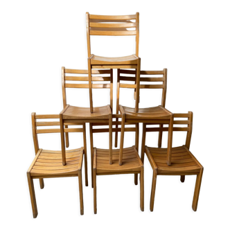 Series of 6 XXth chairs in varnished oak