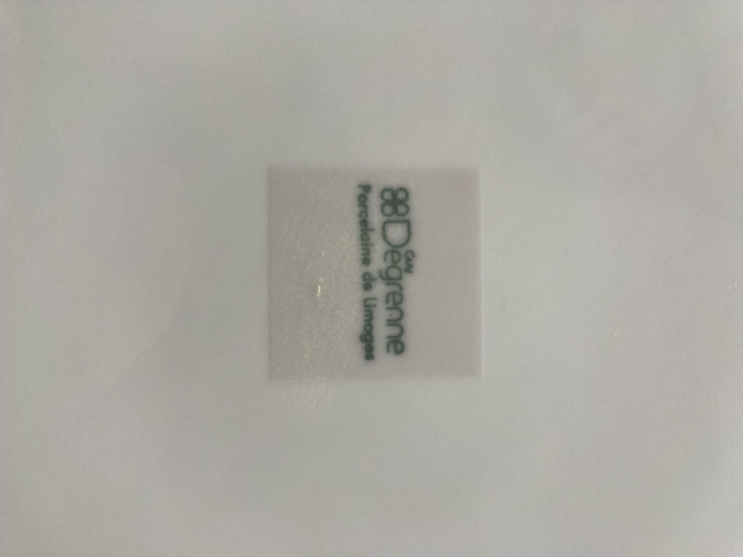 Guy Degrenne porcelain plates