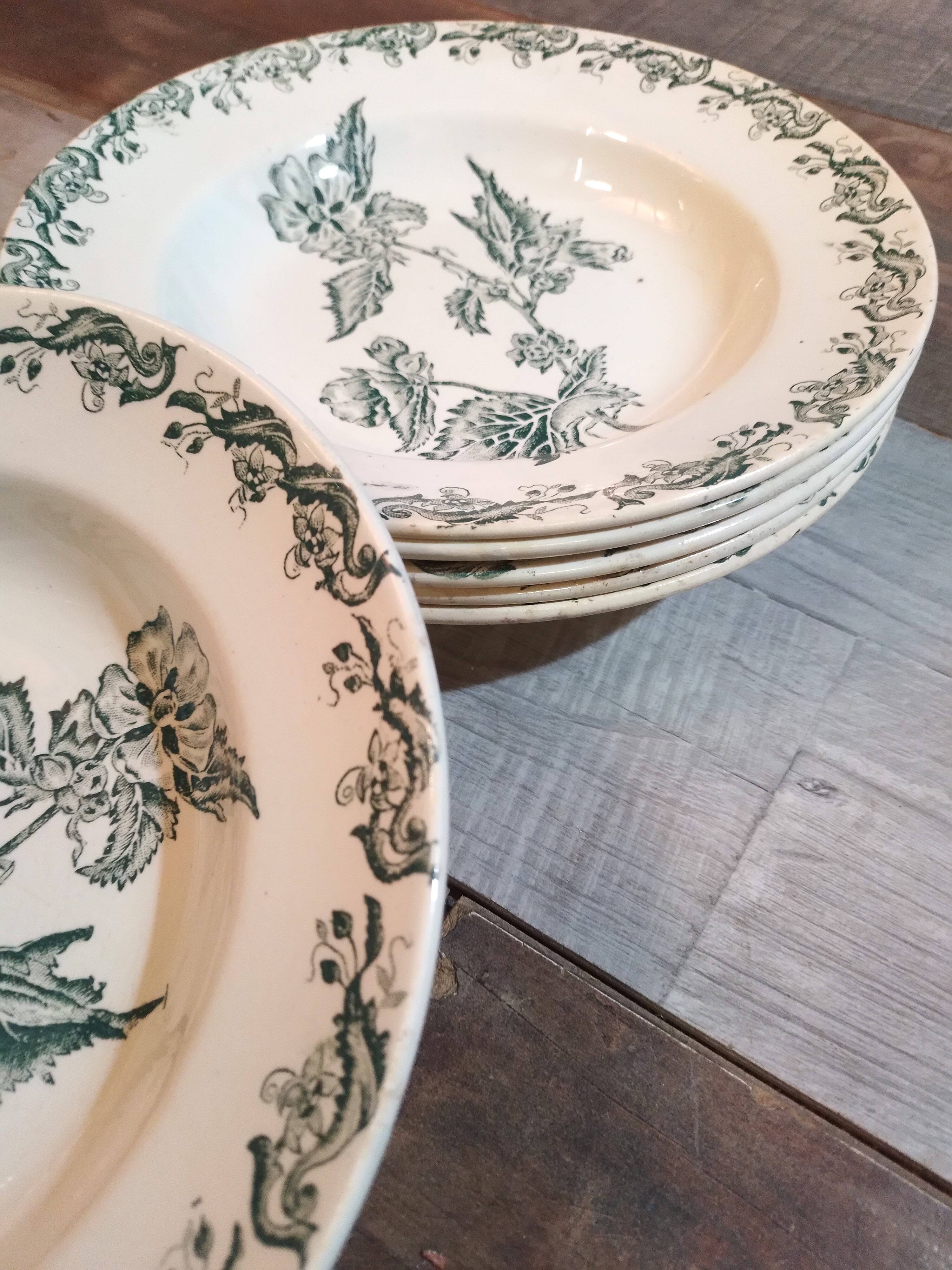 Plates x6 St Amand iron earth 1900s