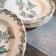 Plates x6 St Amand iron earth 1900s