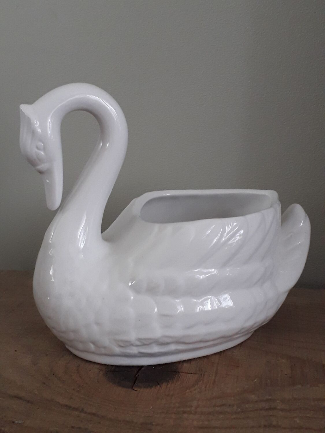 Swan plant pot