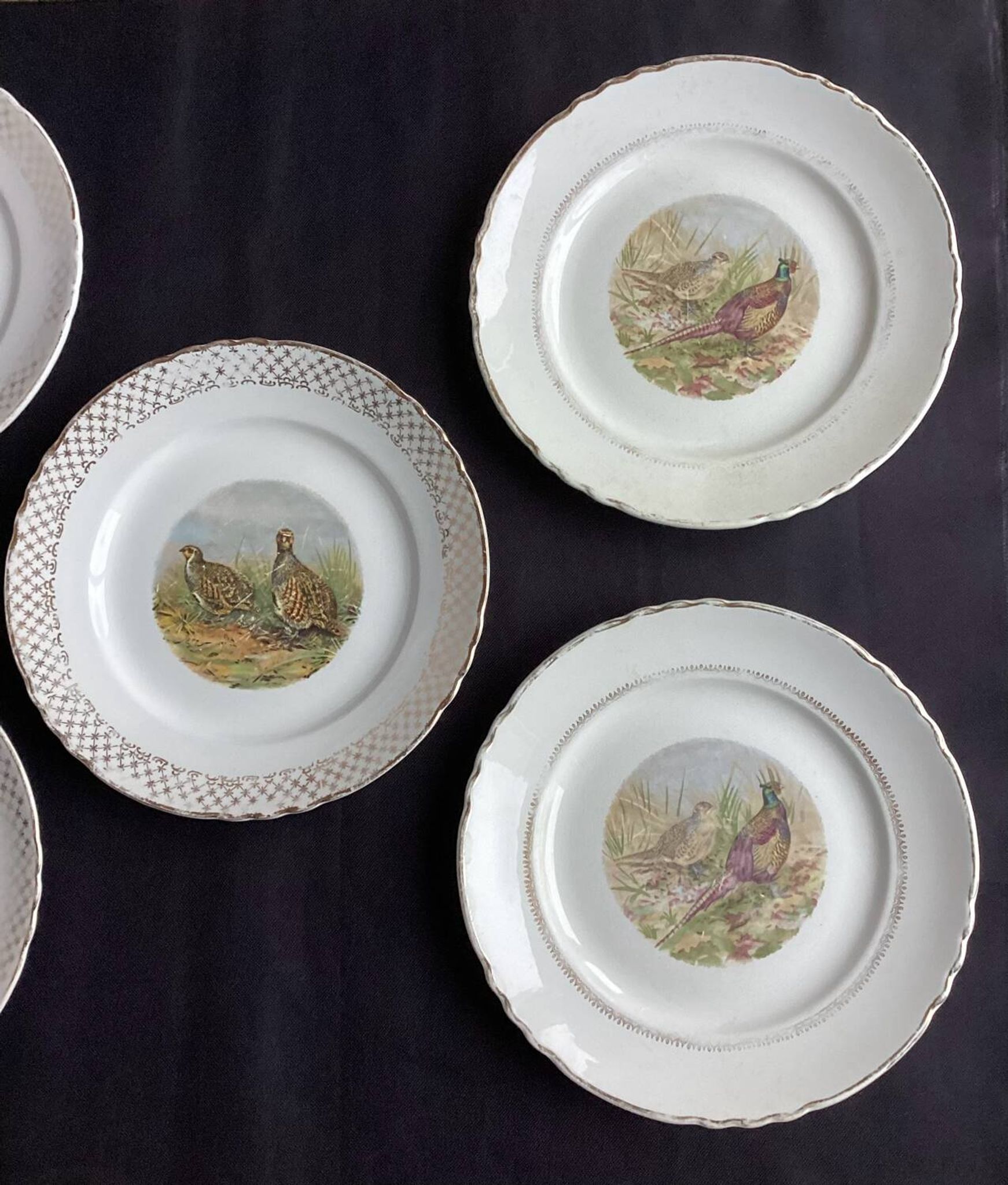 Set of 5 Moulin des Loups flat plates