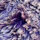 Moroccan rug Beni M'Guild purple - 367 x 176 cm