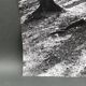 Silver gelatin photograph by Bernard Darot, Light in the Undergrowth, 20th century