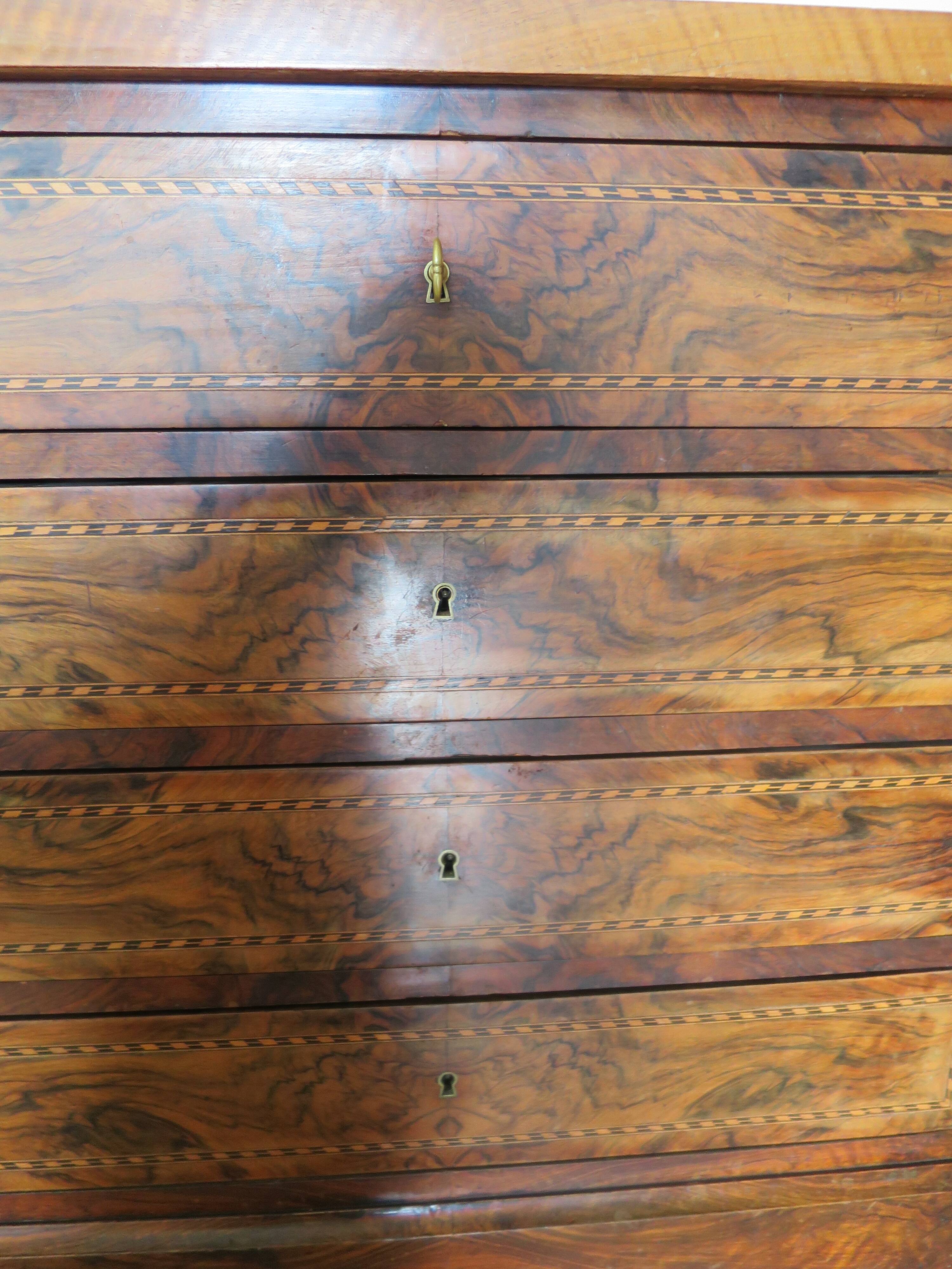 Antique oak burr chest of drawers - 4 drawers - marquetry inlay from the early 21st century