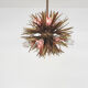 Chandelier 1960's